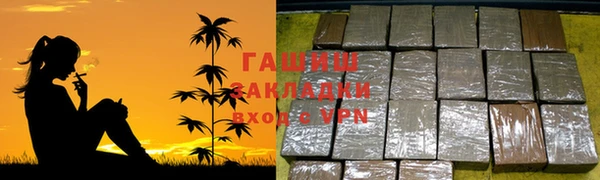 прущие грибы Касимов