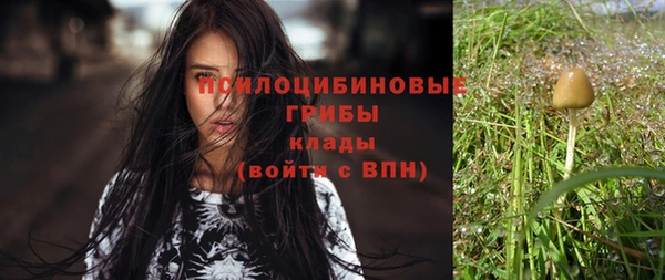 mdpv Аркадак