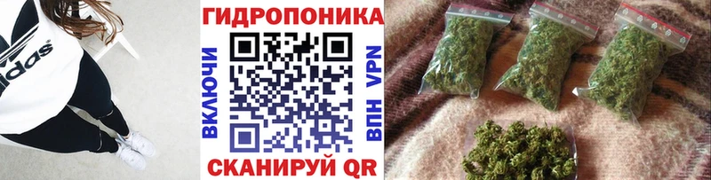 Марихуана планчик  цена   мега tor  Минеральные Воды 